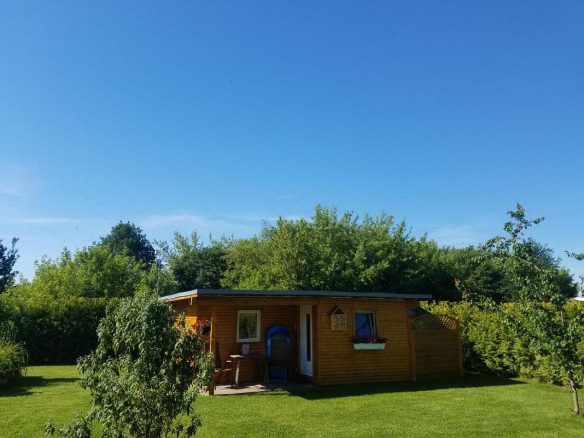 Ferienhaus Zum Imker Velten Dış mekan fotoğraf
